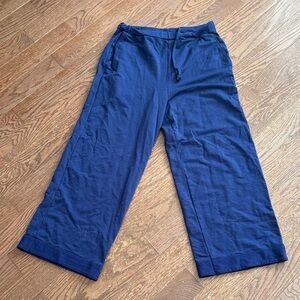 Icebreaker Wide Leg Pants in Deep Blue